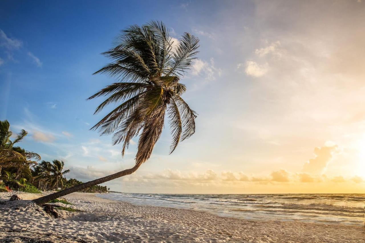 Hidden Treehouse Tulum Eco-Hotel Екстер'єр фото