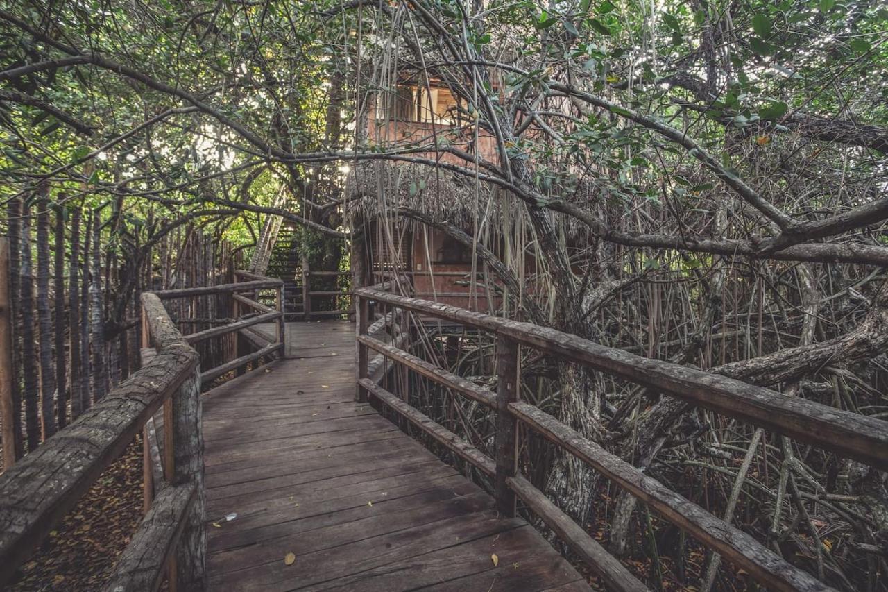 Hidden Treehouse Tulum Eco-Hotel Екстер'єр фото
