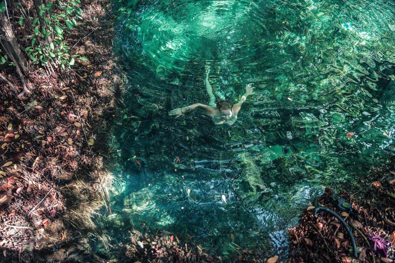 Hidden Treehouse Tulum Eco-Hotel Екстер'єр фото